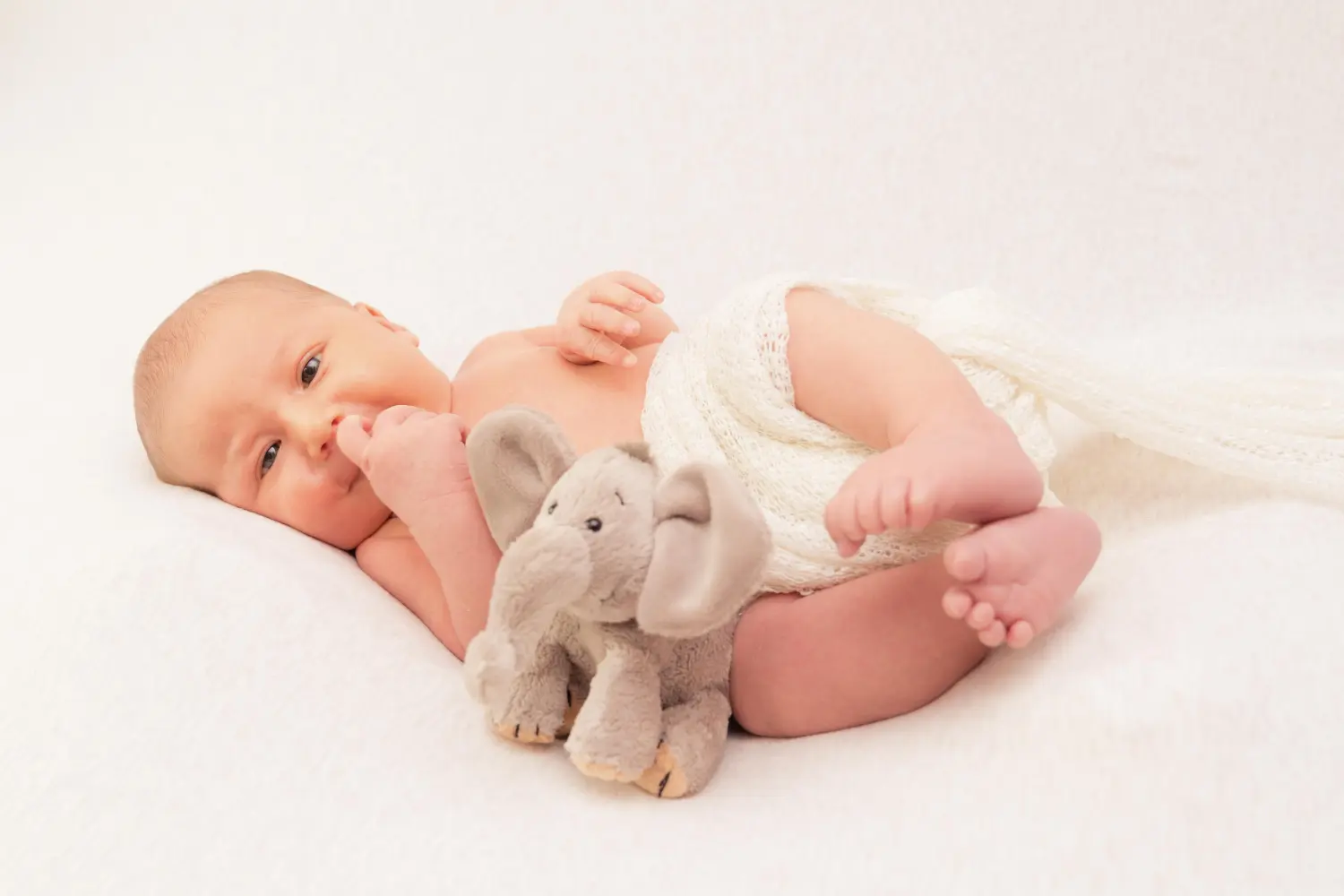 Melissa Herkommer Photography, Neugeborene, Elefant Plüschtier in der Nähe eines Babys